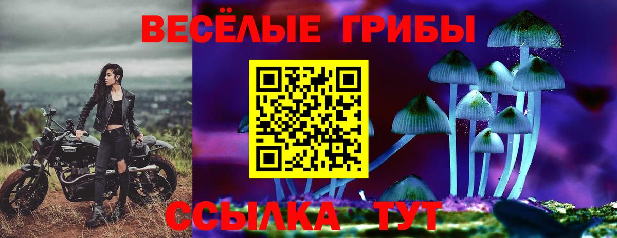 Галлюциногенные грибы MAGIC MUSHROOMS  Вход с VPN  Озёрск 